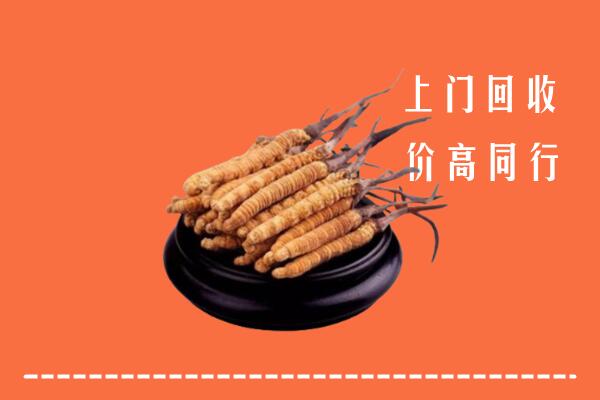 高价求购：亳州回收散虫草