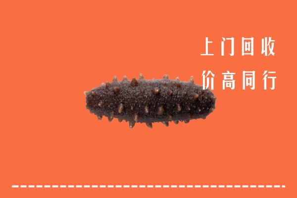 高价求购：亳州回收海参
